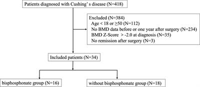 The efficacy of bisphosphonates for osteoporosis in young Cushing’s disease patients with biochemical remission: a retrospective cohort study